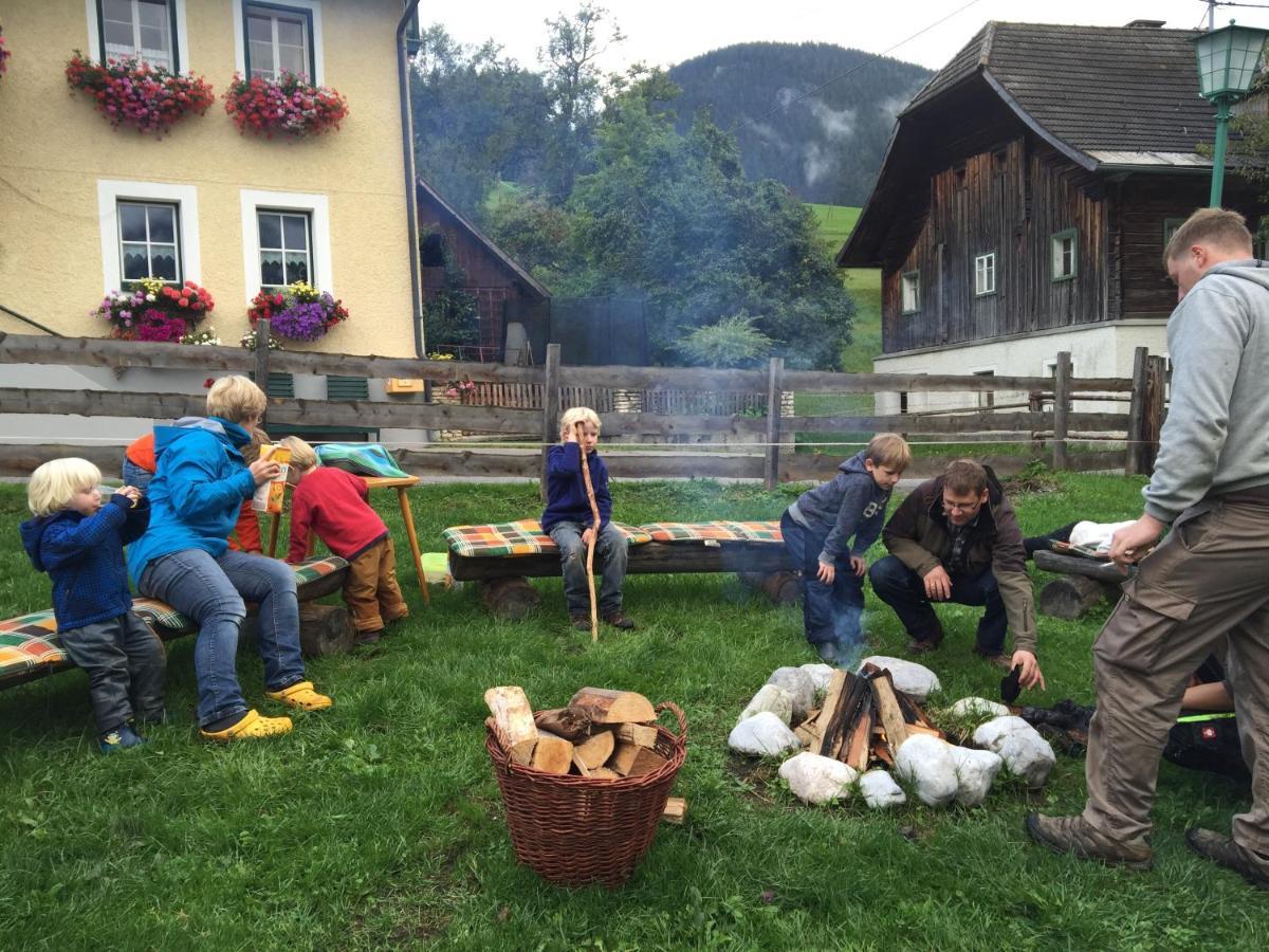 Pichlerhof Sommmercard - Urlaub Am Bauernhof Birnberg Eksteriør billede